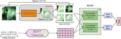 A Vegetable Leaf Disease Identification Model Based on Image-Text Cross-Modal Feature Fusion